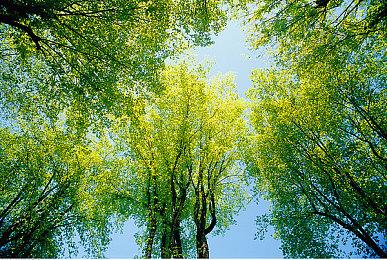 《守望先锋：归来》10天内玩家人数已突破2500万